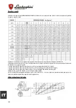 Предварительный просмотр 38 страницы Lamborghini Caloreclima LMB LO 1300 Use And Maintenance Manual