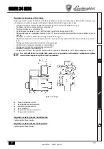 Предварительный просмотр 19 страницы Lamborghini Caloreclima NINFA 24 MCS Instructions For Use, Installation And Maintenance