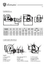 Preview for 30 page of Lamborghini Caloreclima PG 180/2 Installation And Maintenance Manual