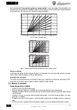 Предварительный просмотр 37 страницы Lamborghini Caloreclima RAGGIO C Instructions For Use, Installation And Maintenance