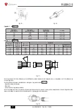 Предварительный просмотр 14 страницы Lamborghini Caloreclima RUBINO S 12 Use And Maintenance Manual