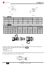 Предварительный просмотр 32 страницы Lamborghini Caloreclima RUBINO S 9 Use And Maintenance Manual