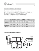 Preview for 42 page of Lamborghini Caloreclima TREND 28 MBS W TOP Installation And Maintenance Manual