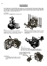 Preview for 21 page of LAMBORGHINI ECO 3C Series Installation - Use - Maintenance