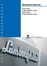 LAMBORGHINI R8.230 DCR Workshop Manual preview