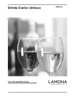 Lamona LAM6911 User'S Installation Manual preview