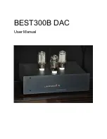 Lampizator BEST300B DAC User Manual предпросмотр