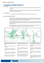 Предварительный просмотр 10 страницы Lamusa SM-1909/L Starting Manual