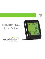 Landis & Gyr ecoMeter P250 User Manual preview