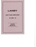 Предварительный просмотр 1 страницы Laney A 301 2 User Manual