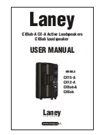 Preview for 1 page of Laney CX12-A User Manual