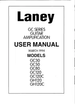 Preview for 1 page of Laney GC30 User Manual