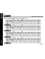 Предварительный просмотр 10 страницы Laney L20T-410 Operating Instructions Manual