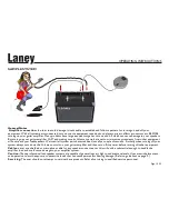 Предварительный просмотр 10 страницы Laney LG35R User Manual