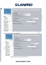 Preview for 40 page of Lanpro LP-348 User Manual