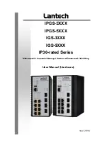 Lantech IPGS-3 Series User Manual предпросмотр