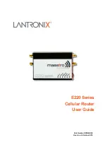 Предварительный просмотр 1 страницы Lantronix Maestro E205XT02 User Manual