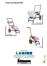 Preview for 40 page of Larius MIRO Series Operating And Maintenance Instruction Manual