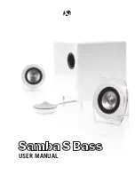 Lars & Ivan Samba S Bass 2.1 User Manual предпросмотр