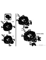 Preview for 4 page of Laser Pegs 9015 World of Bugs Predator Model Instructions