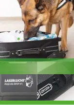 Preview for 2 page of LASERLUCHS PICO-K9-SPOT-V1 Customer'S Manual