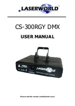 Laserworld CS-300RGY DMX User Manual preview