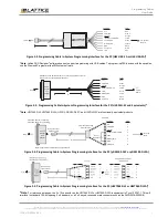 Предварительный просмотр 7 страницы Lattice Semiconductor HW-DLN-3C User Manual