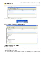 Предварительный просмотр 14 страницы Lattice Semiconductor LatticeECP3 Versa User Manual