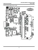 Предварительный просмотр 45 страницы Lattice Semiconductor LatticeMico32/DSP User Manual