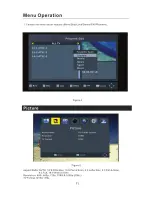 Preview for 13 page of Lava HDTV-2100V User Manual