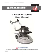 Предварительный просмотр 1 страницы lavina 30G-S User Manual