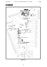 Предварительный просмотр 41 страницы lavina V20GE User Manual