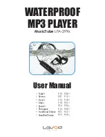 Lavod MusicTube LFA-299x User Manual preview