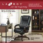 Предварительный просмотр 1 страницы LAZBOY 44946 Assembly Instructions Manual