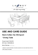 Preview for 1 page of LAZBOY D71 M12785 Use And Care Manual