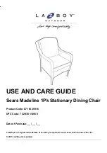 Preview for 1 page of LAZBOY Madeline D71 M 20916 Use And Care Manual