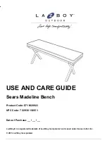 Preview for 1 page of LAZBOY Sears Madeline M20923 Use And Care Manual