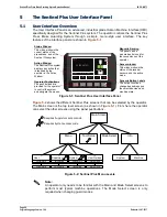 Preview for 29 page of Lazer Safe SENTINEL PLUS Operation Manual