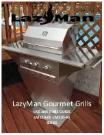 LazyMan LM210-28 Use And Care Manual предпросмотр