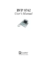 Предварительный просмотр 1 страницы Leadtek BVP 8762 User Manual