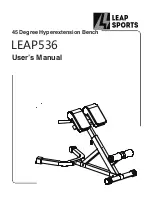 Preview for 1 page of LEAP SPORTS LEAP536 User Manual