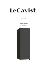 LeCavist LKV168PNDX User Manual предпросмотр