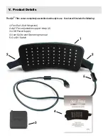 Предварительный просмотр 5 страницы LED Technologies, Inc. dpl Flex User Manual