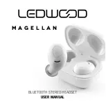 Предварительный просмотр 1 страницы Ledwood APOLLO T14 User Manual