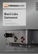 Lehmannaudio Black Cube Statement Manual предпросмотр