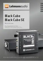 Lehmannaudio Black Cube Manual предпросмотр