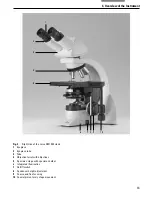 Preview for 13 page of Leica DM1000 LED Operating Manual