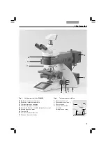 Предварительный просмотр 195 страницы Leica DM5500 B Operating Manual