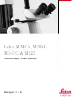 Preview for 1 page of Leica M165C Technical Information