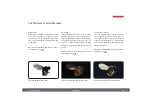 Предварительный просмотр 22 страницы Leica TL5000 Ergo User Manual